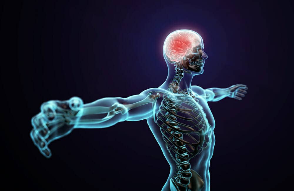 soccer science performance